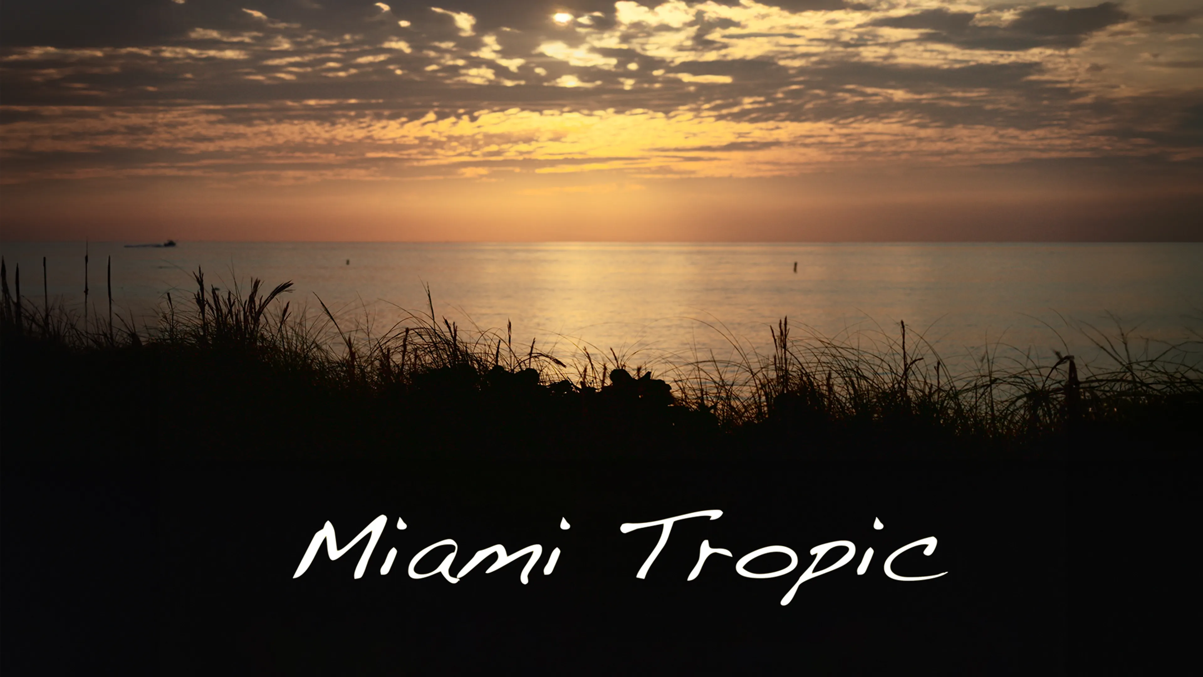 Miami Tropic poster